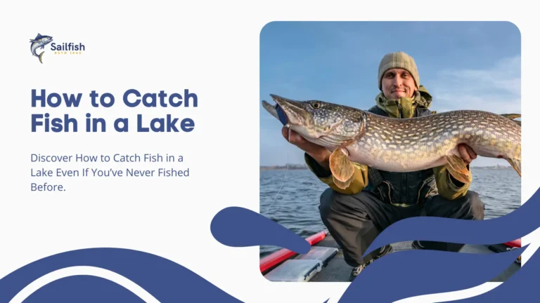 How to Catch Fish in a Lake Even If You’ve Never Fished Before